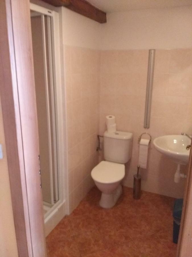 Penzion Crazy Vysoké nad Jizerou Dış mekan fotoğraf